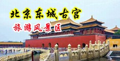 操骚穴高潮视频网站免费中国北京-东城古宫旅游风景区